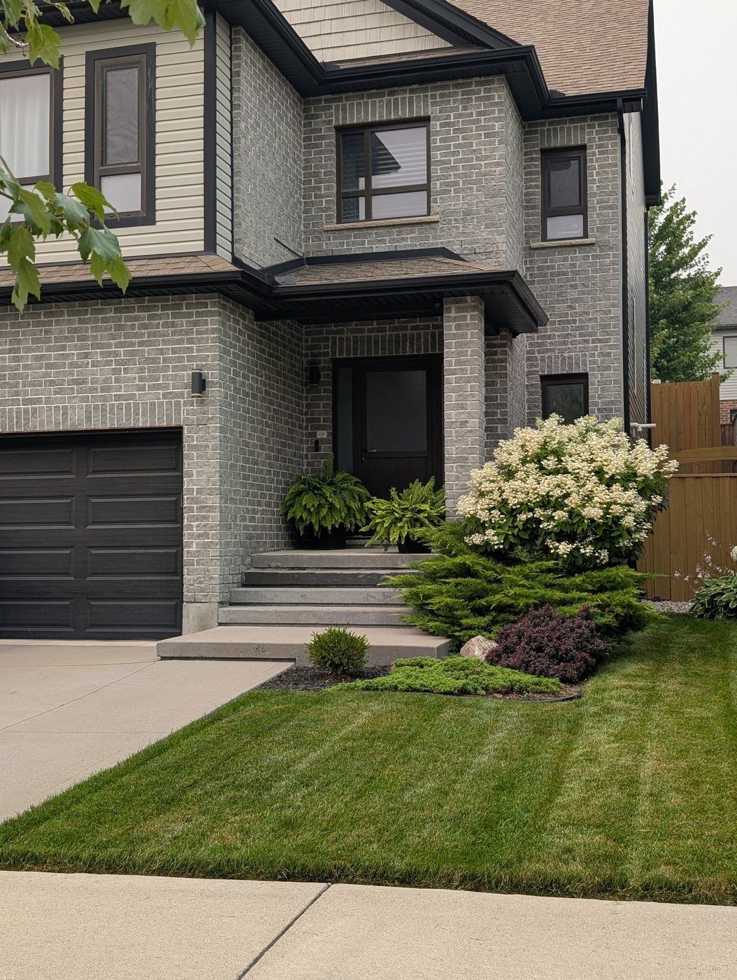 Tidy front-yard entrance with hydrangeas, layered garden beds and a crisp striped lawn